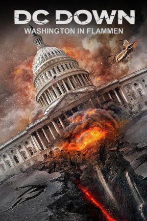 Image DC Down - Washington in Flammen – Der Film