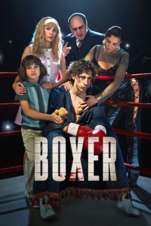 Image Boxer – Der Film