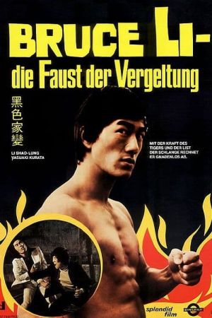 Image Bruce Li - Die Faust der Vergeltung – Der Film