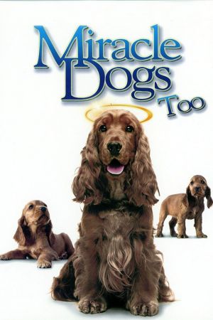 Image Miracle Dogs Too – Der Film