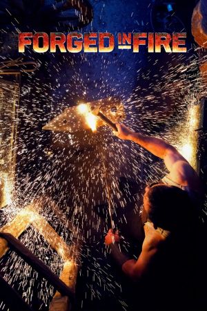 Image Forged in Fire - Wettkampf der Schmiede – Der Film