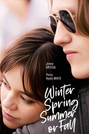 Image Winter Spring Summer or Fall – Der Film