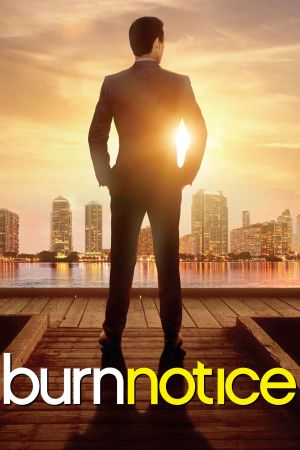 Image Burn Notice – Der Film