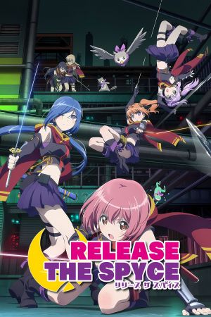 Image Release the Spyce – Der Film