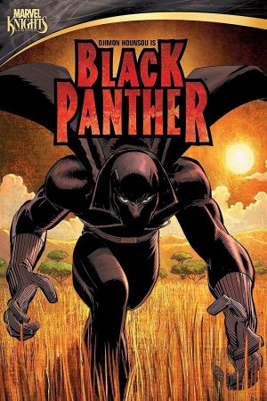 Image Black Panther – Der Film