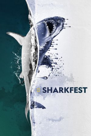 Image Sharks Up Close with Bertie Gregory