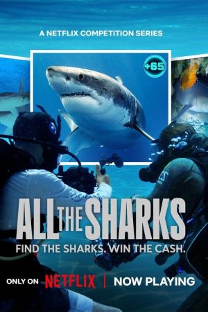 Image All the Sharks – Der Film