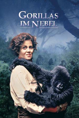 Image Gorillas im Nebel