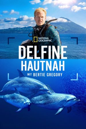 Image Delfine Hautnah mit Bertie Gregory – Der Film
