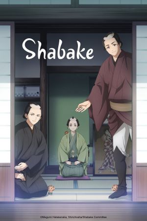 Image Shabake – Der Film