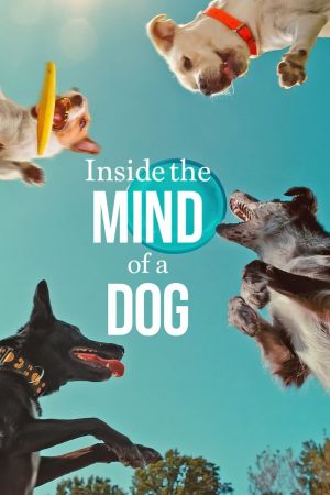 Image Was Hunde denken – Der Film