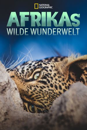 Image Afrikas wilde Wunderwelt – Der Film