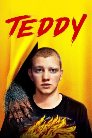 Image Teddy