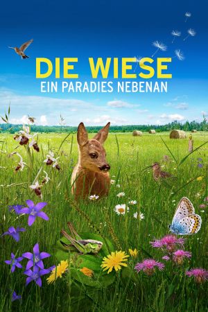 Image Die Wiese: Ein Paradies nebenan – Der Film