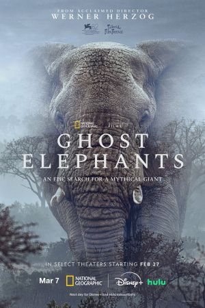 Image Ghost Elephants