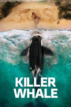 Image Killer Whale