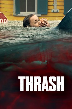 Image Thrash – Der Film