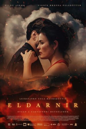 Image The Fires - Brennender Abgrund