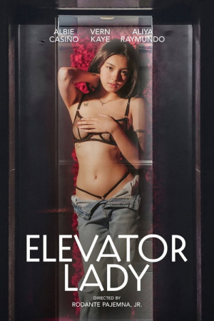 Image Elevator Lady